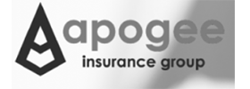 Apogee Insurance Group